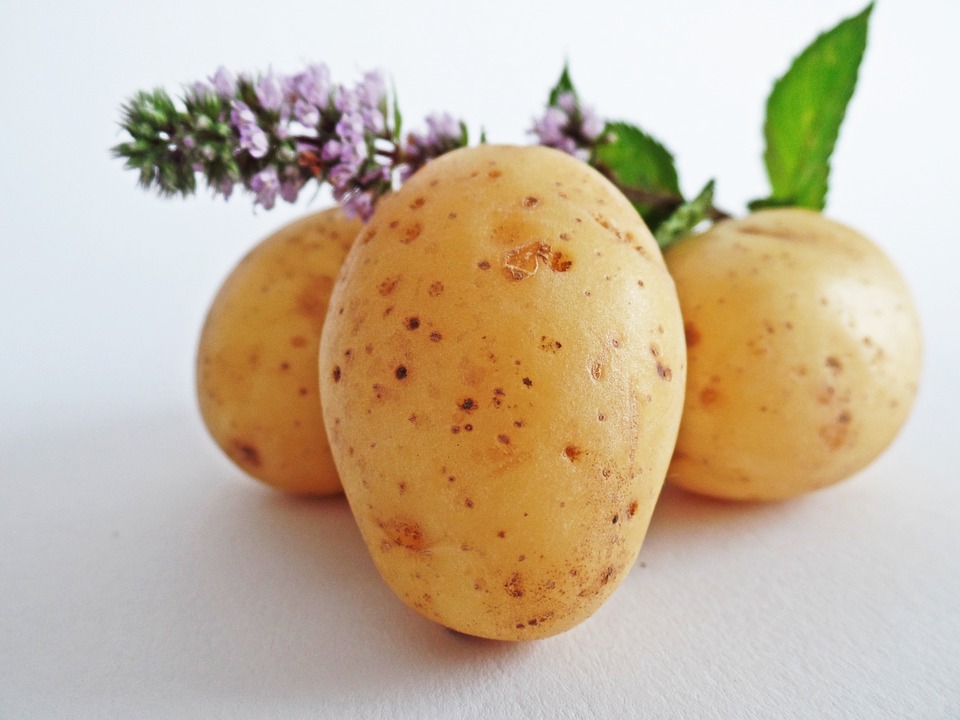 potatoes 4486